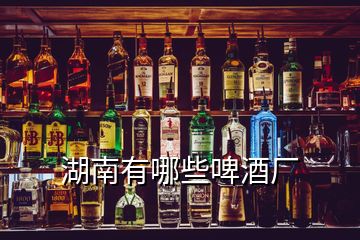 湖南有哪些啤酒廠