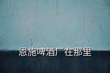 恩施啤酒廠在那里