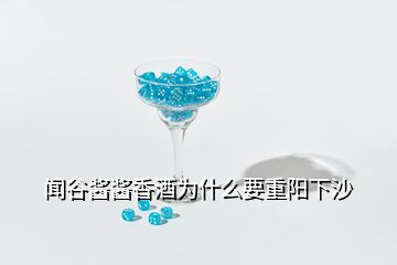 聞谷醬醬香酒為什么要重陽(yáng)下沙