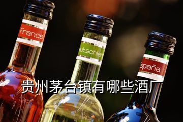 貴州茅臺鎮(zhèn)有哪些酒廠