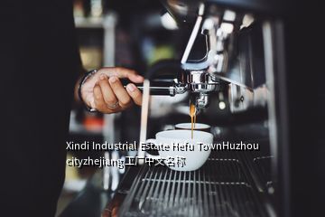 Xindi Industrial Estate Hefu TownHuzhou cityzhejiang 工廠中文名稱