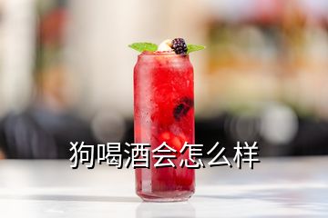 狗喝酒會怎么樣