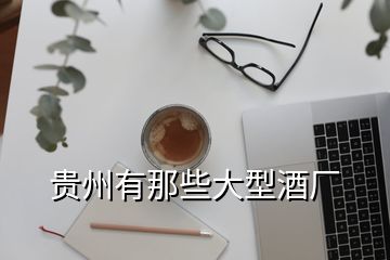 貴州有那些大型酒廠