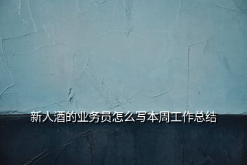 新人酒的業(yè)務(wù)員怎么寫(xiě)本周工作總結(jié)