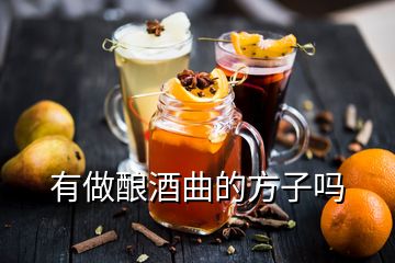 有做釀酒曲的方子嗎