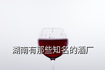 湖南有那些知名的酒廠