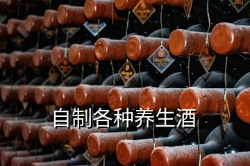 自制各種養(yǎng)生酒