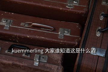 kuemmerling 大家誰知道這是什么酒