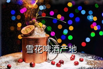 雪花啤酒產地