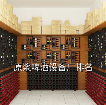 原漿啤酒設(shè)備廠排名