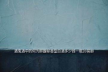 酒鬼酒中的何為醉馥郁香型白酒多少錢(qián)一瓶20窖齡