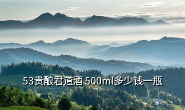 53貴釀君道酒 500ml多少錢一瓶