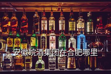 安徽皖酒集團(tuán)在合肥哪里