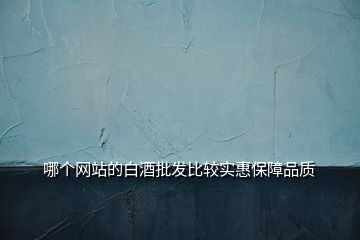 哪個網(wǎng)站的白酒批發(fā)比較實惠保障品質(zhì)