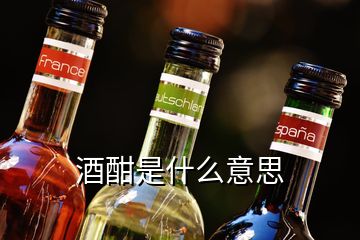 酒酣是什么意思