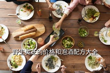 野生靈芝的價(jià)格和泡酒配方大全