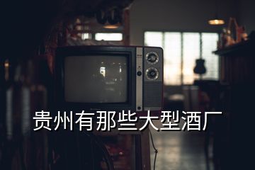 貴州有那些大型酒廠(chǎng)