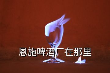 恩施啤酒廠在那里