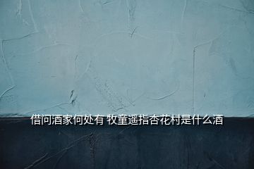 借問(wèn)酒家何處有 牧童遙指杏花村是什么酒