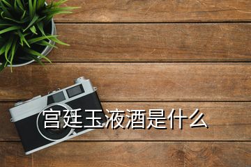 宮廷玉液酒是什么