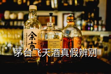 茅臺飛天酒真假辨別