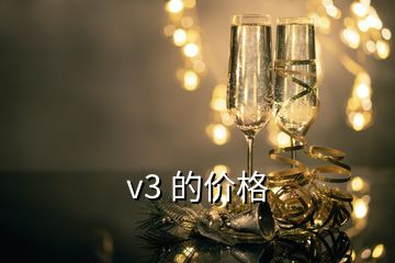 v3 的價格