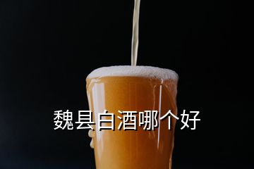 魏縣白酒哪個好