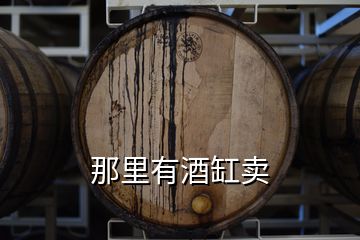 那里有酒缸賣