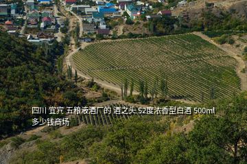 四川 宜賓 五糧液酒廠的 酒之頭 52度濃香型白酒 500ml 多少錢商場(chǎng)