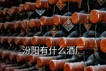 汾陽有什么酒廠