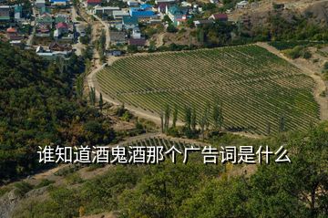 誰知道酒鬼酒那個(gè)廣告詞是什么