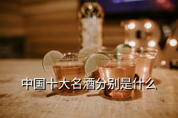 中國十大名酒分別是什么