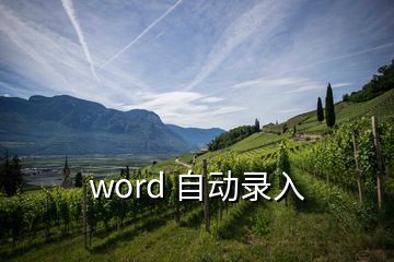 word 自動錄入