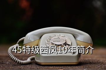 45特級(jí)西鳳10年簡(jiǎn)介