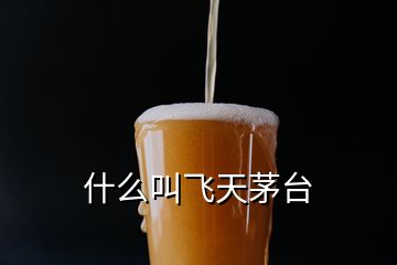 什么叫飛天茅臺