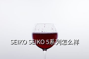 SEIKO SEIKO 5系列怎么樣