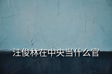 汪俊林在中央當(dāng)什么官