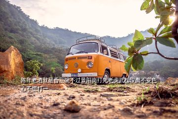 陳年老酒就是香三碗不過(guò)景陽(yáng)崗打死老虎武松漢面不變色心不慌打一