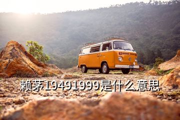 賴茅19491999是什么意思