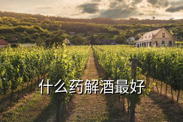 什么藥解酒最好