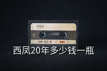 西鳳20年多少錢一瓶