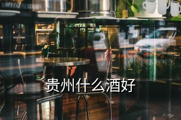 貴州什么酒好