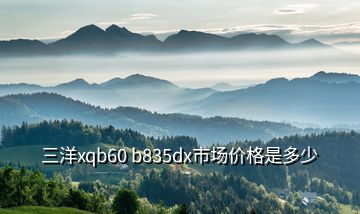 三洋xqb60 b835dx市場(chǎng)價(jià)格是多少