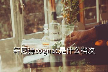 軒尼詩cognac是什么檔次