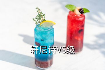 軒尼詩(shī)VS級(jí)