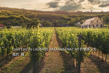 CHATEAU de LAUBADE BASARMAGNAC XO 價(jià)值多少方瓶的  搜