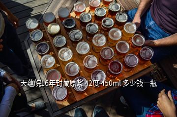 天蘊(yùn)皖16年封藏原漿 42度 450ml 多少錢(qián)一瓶