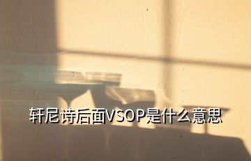 軒尼詩后面VSOP是什么意思