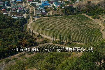 四川宜賓出的五十三度紅花郎酒每瓶是多少錢(qián)