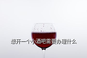 想開(kāi)一個(gè)小酒吧需要辦理什么